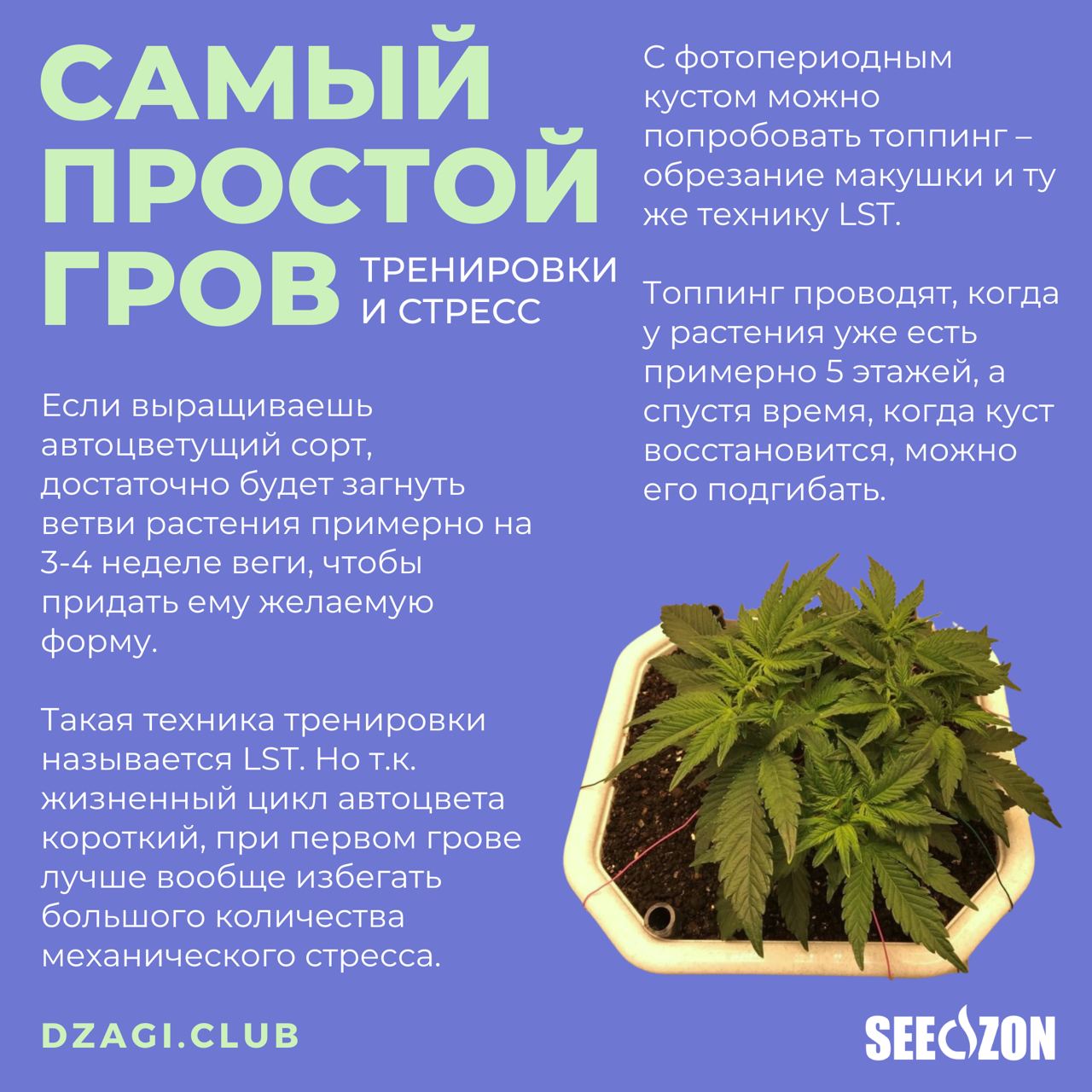 Тренировки и стресс